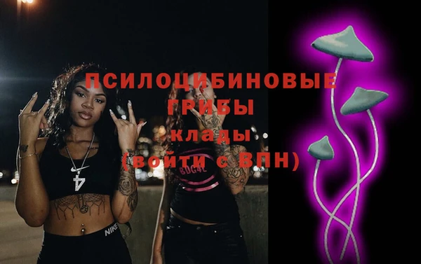 бошки Алзамай
