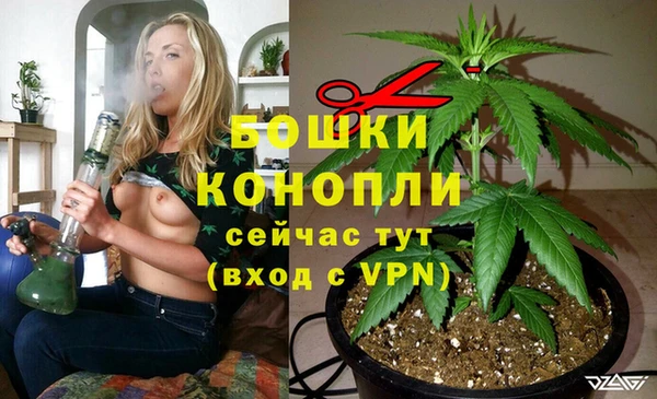 бошки Алзамай