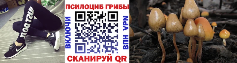 Псилоцибиновые грибы Cubensis  mega маркетплейс  Бирюч 
